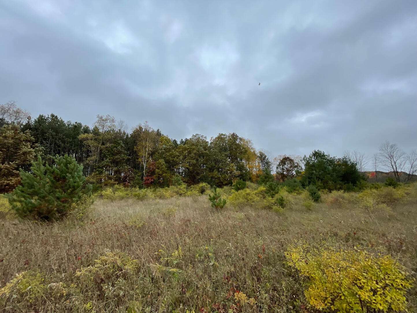 10775 West Remus Road Remus, MI 49340 - Photo 47 of 70 48
