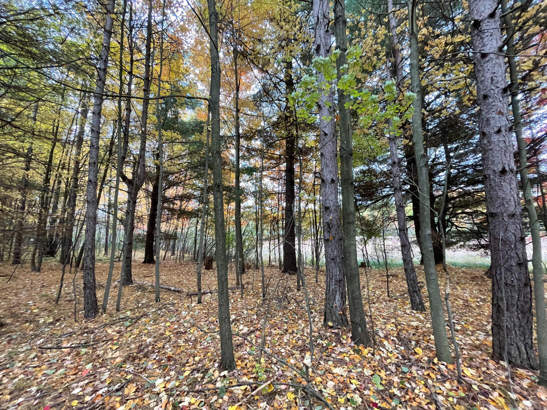 10775 West Remus Road Remus, MI 49340 - Photo 55 of 70 56