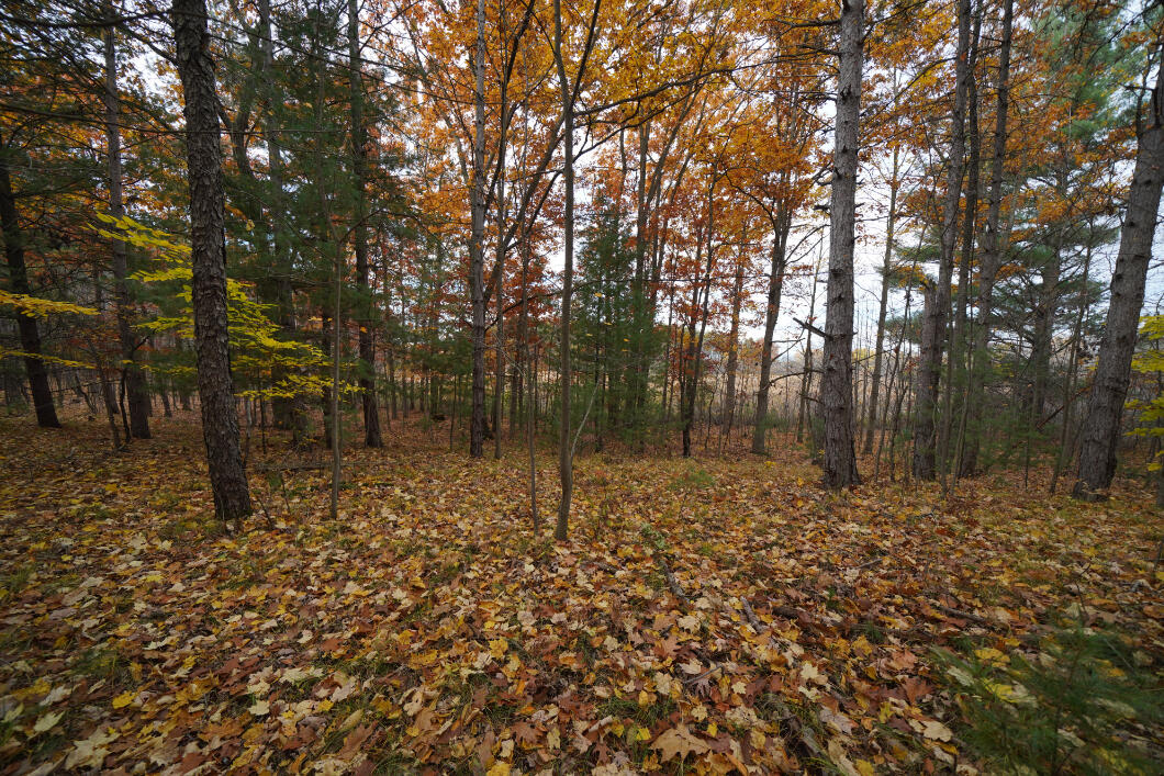 10775 West Remus Road Remus, MI 49340 - Photo 57 of 70 58