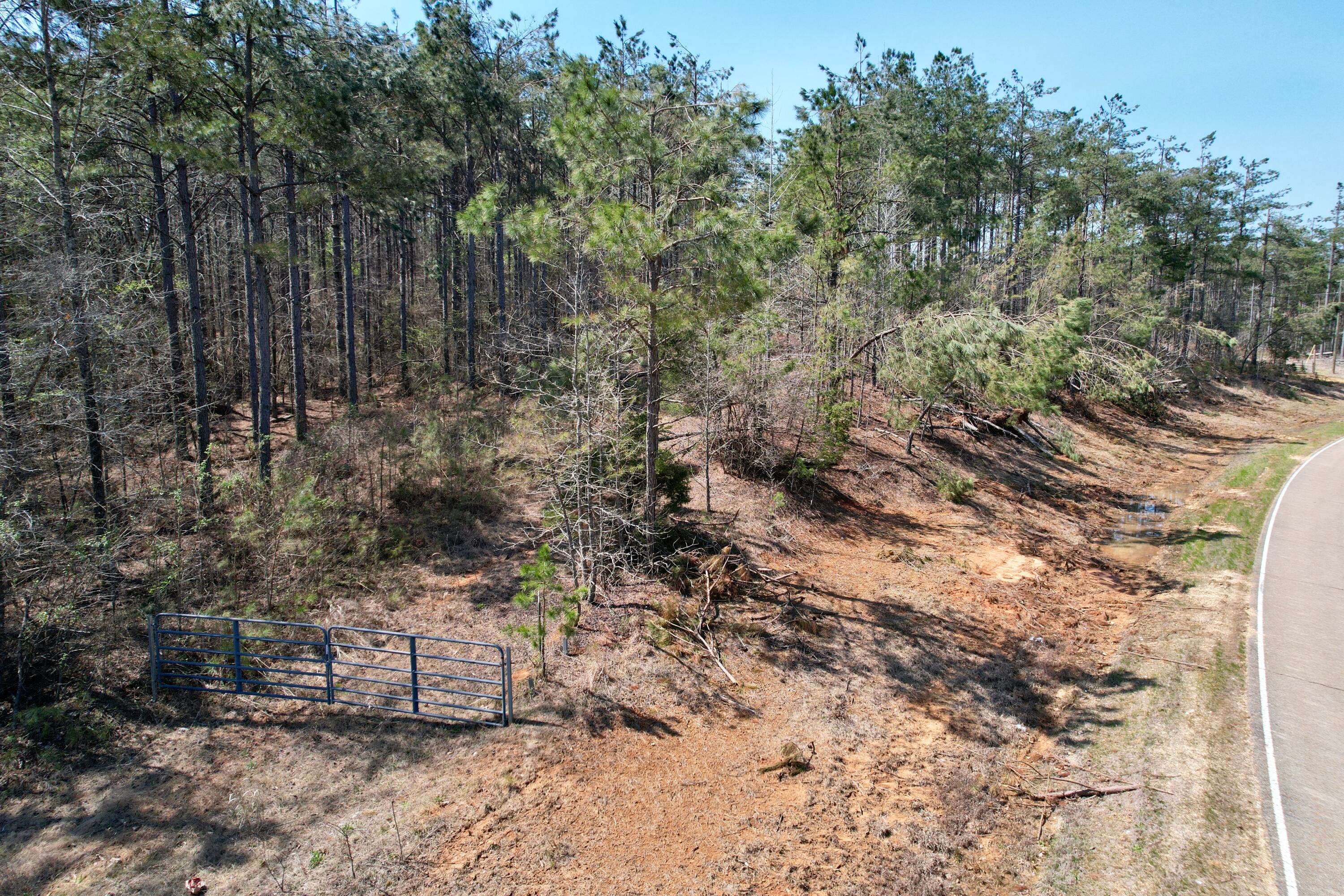 231 Rd Iuka Ms 38852 Cherokee, AL 35616 - Photo 15 of 20 Gallery Image 15