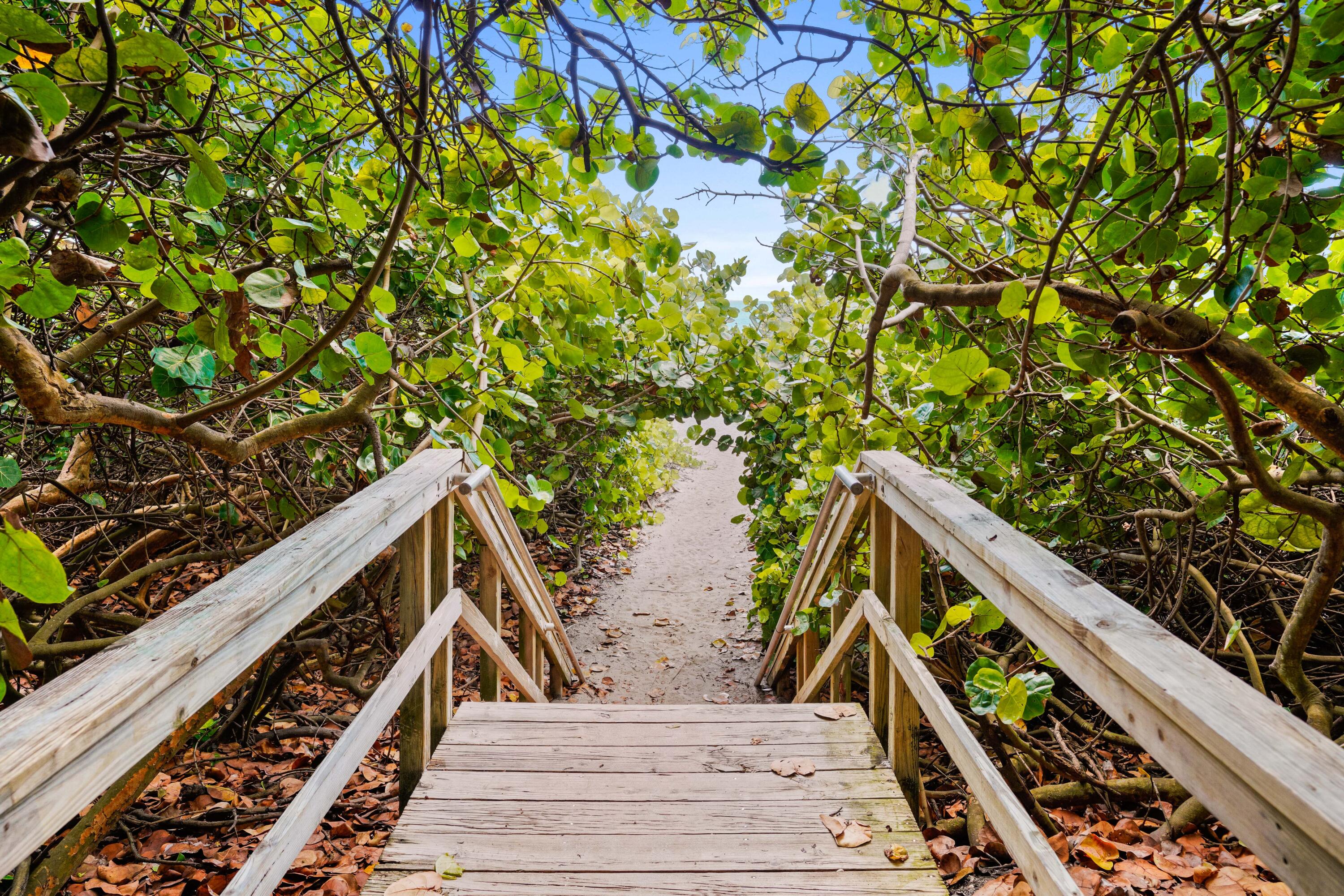 911 Ocean Drive, Unit 506 Juno Beach, FL 33408 - Photo 68 of 68 _MLP9491_1