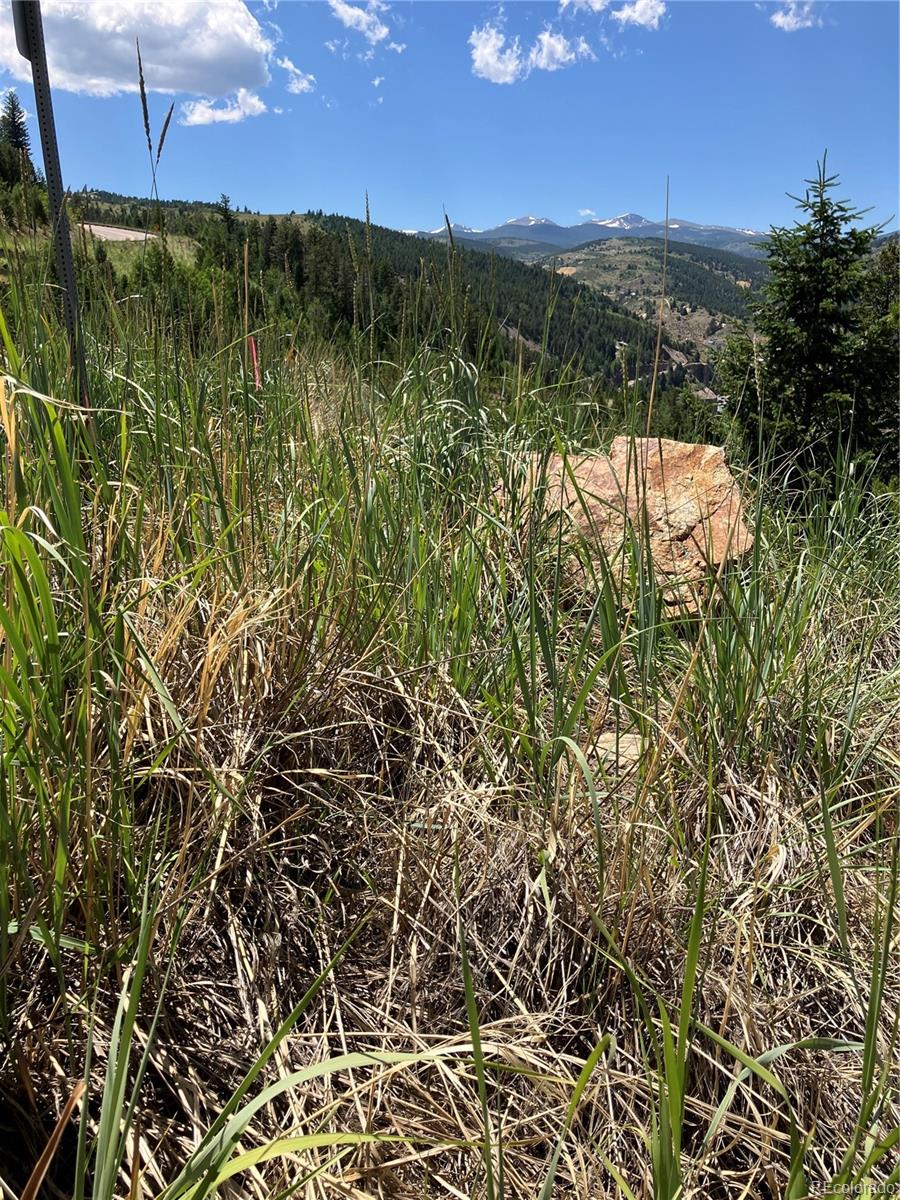 3 Miners Road Black Hawk, CO 80422 - Photo 3 of 11
