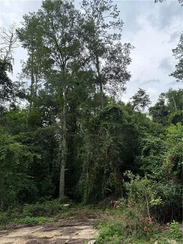 $82,500 | Lot 5 East Pleasant Ridge Road, Hammond, LA 70403