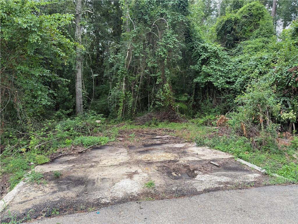 Lot 5 East Pleasant Ridge Road Hammond, LA 70403 - Photo 2 of 5