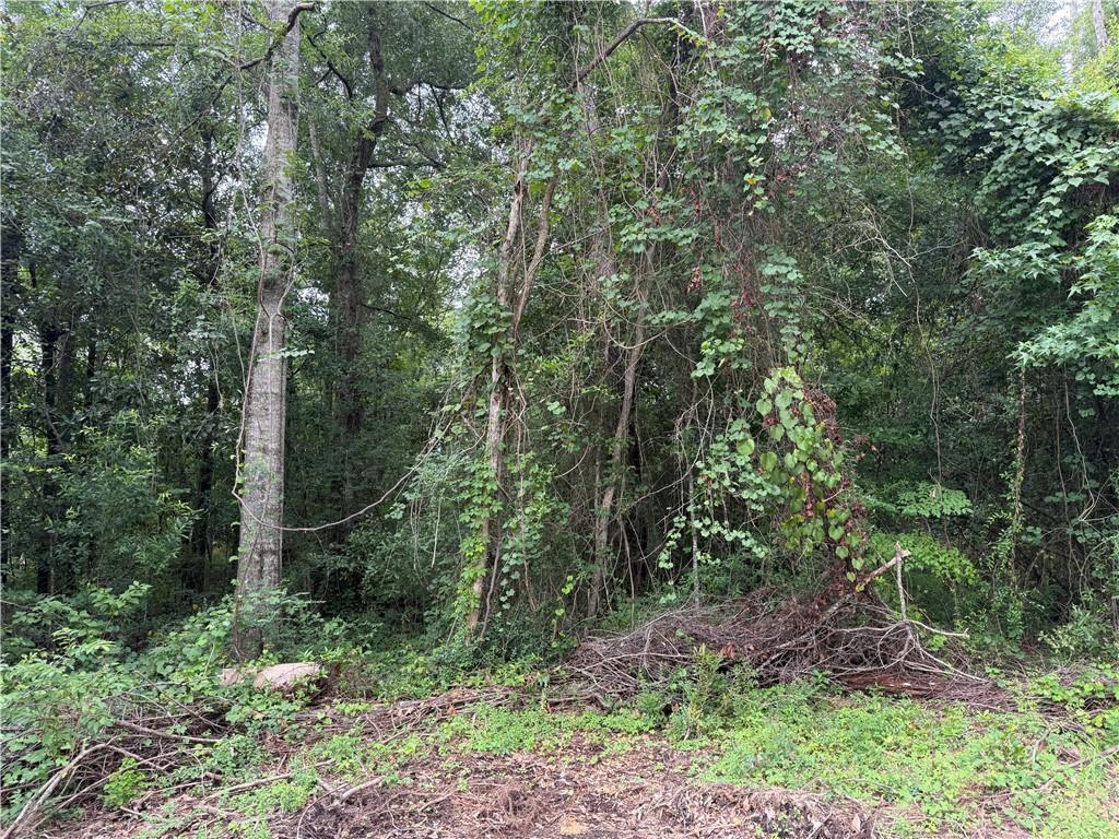 Lot 5 East Pleasant Ridge Road Hammond, LA 70403 - Photo 3 of 5