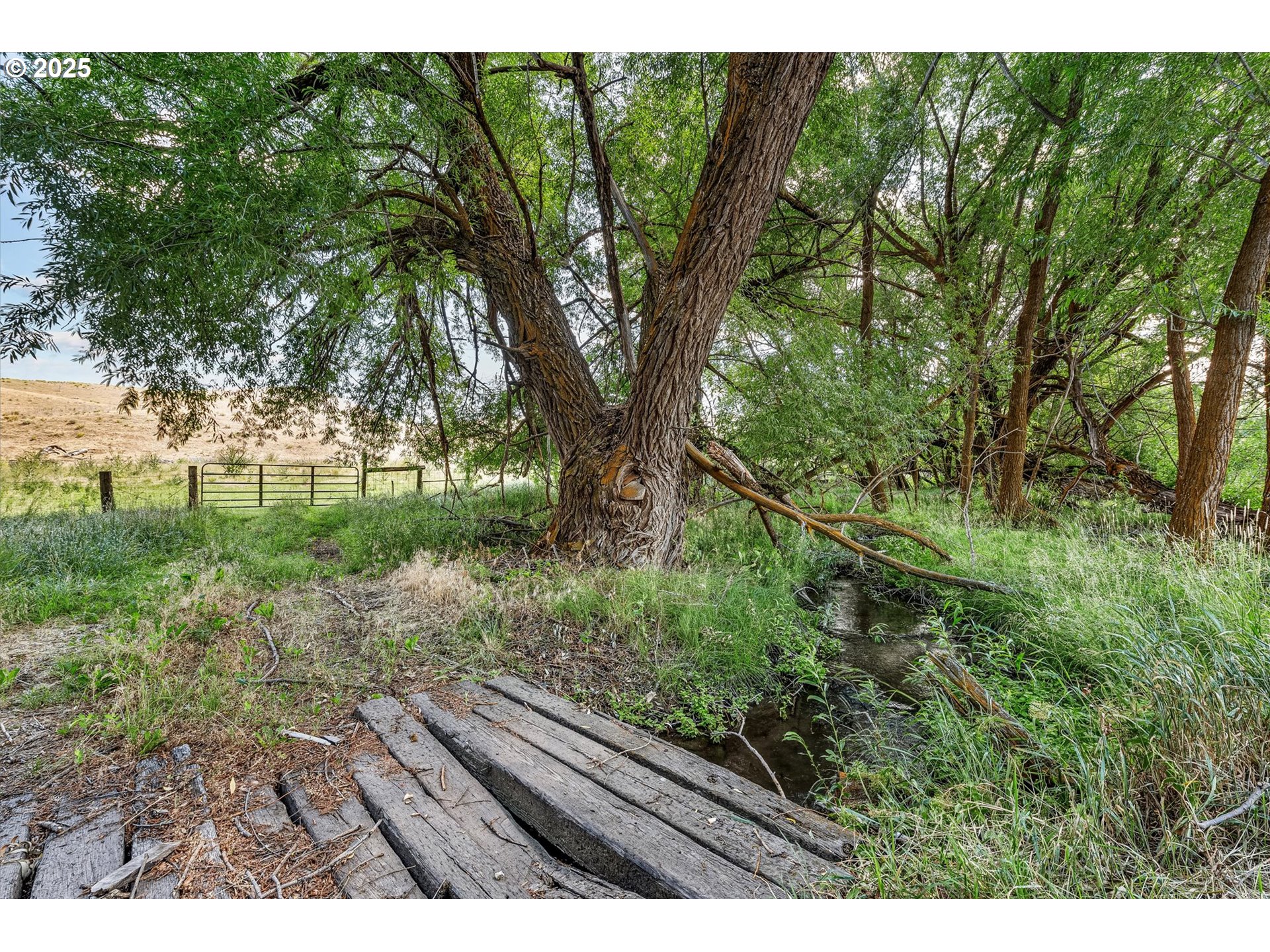 37799 Alder Creek Road Baker City, OR 97814 - Photo 26 of 41 a view of backyard with green space