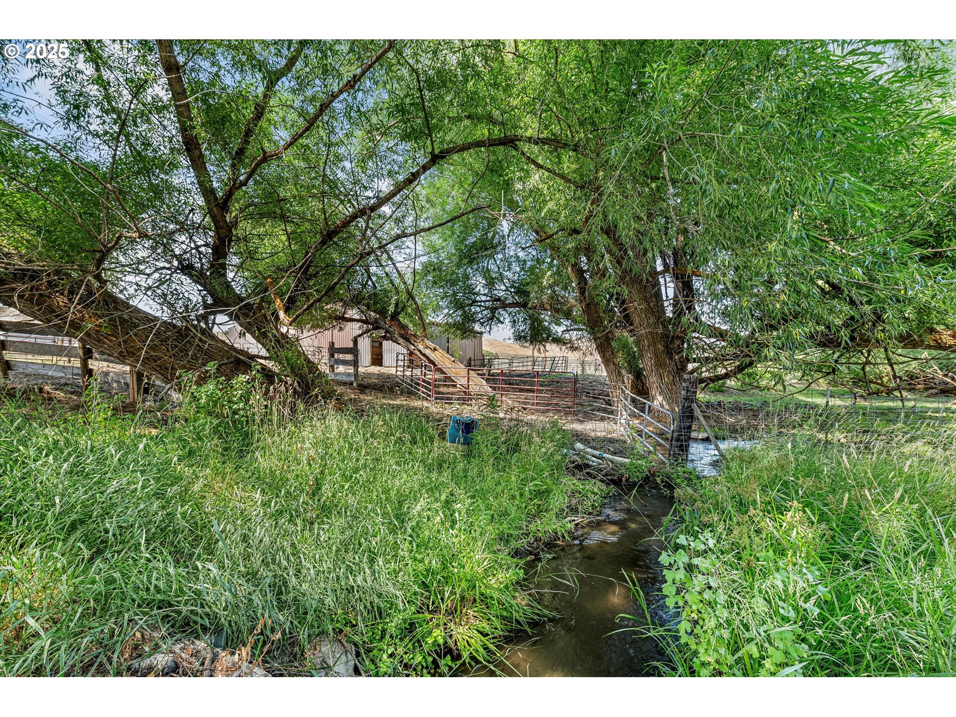 37799 Alder Creek Road Baker City, OR 97814 - Photo 40 of 41 a green field with lots of trees