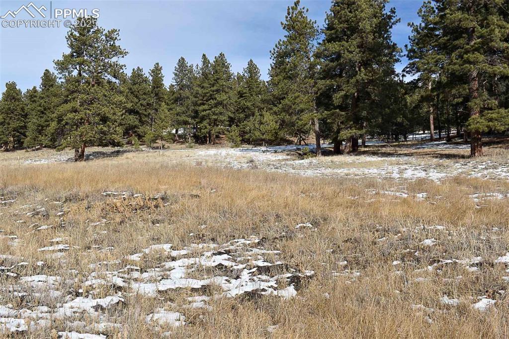 6th Street Guffey, CO 80820 - Photo 27 of 28