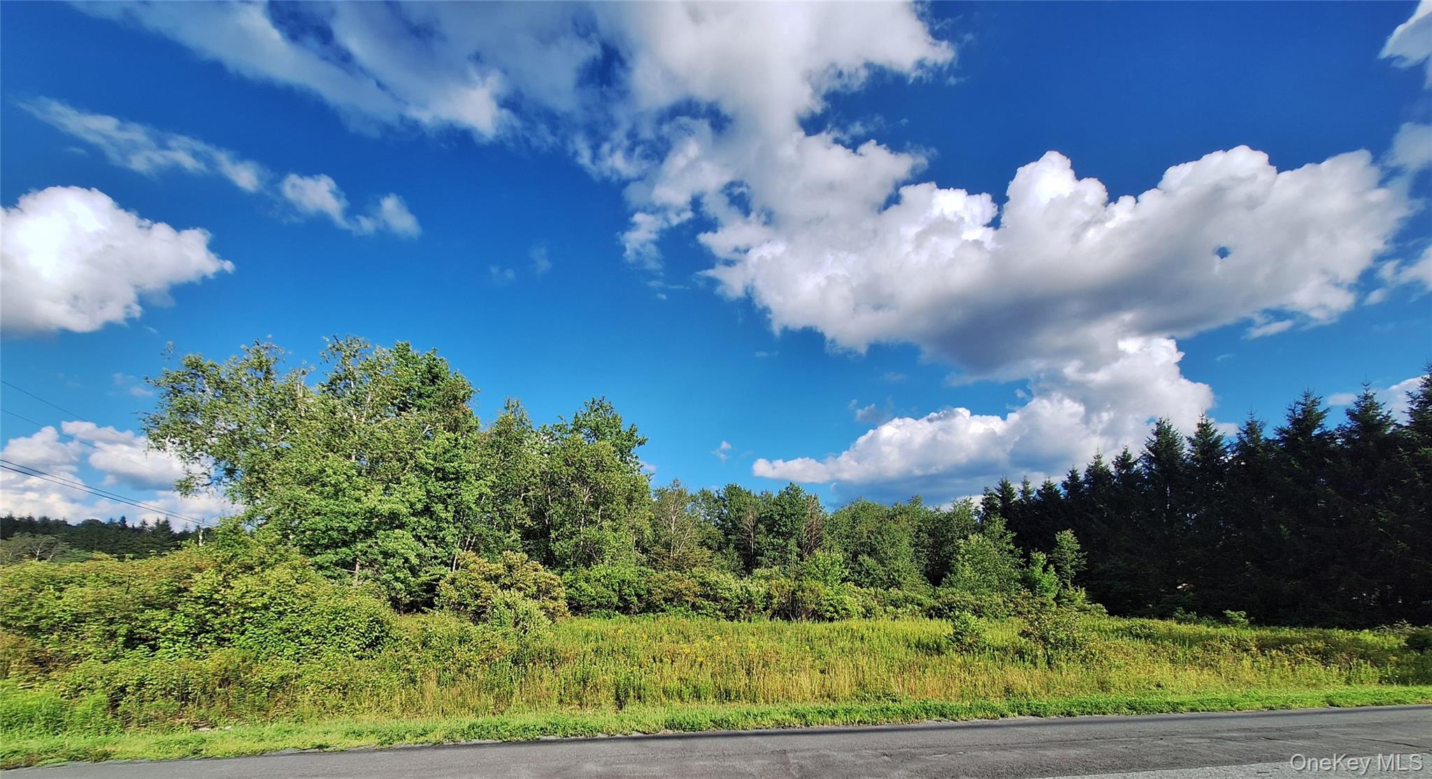 Burnt Ridge Road Fallsburg, NY 12733 - Photo 21 of 38 Gallery Image 21