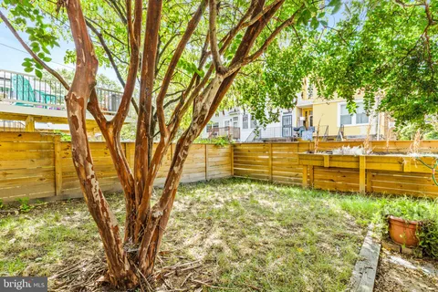 a view of a yard with large trees