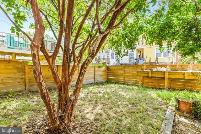 a view of a yard with large trees