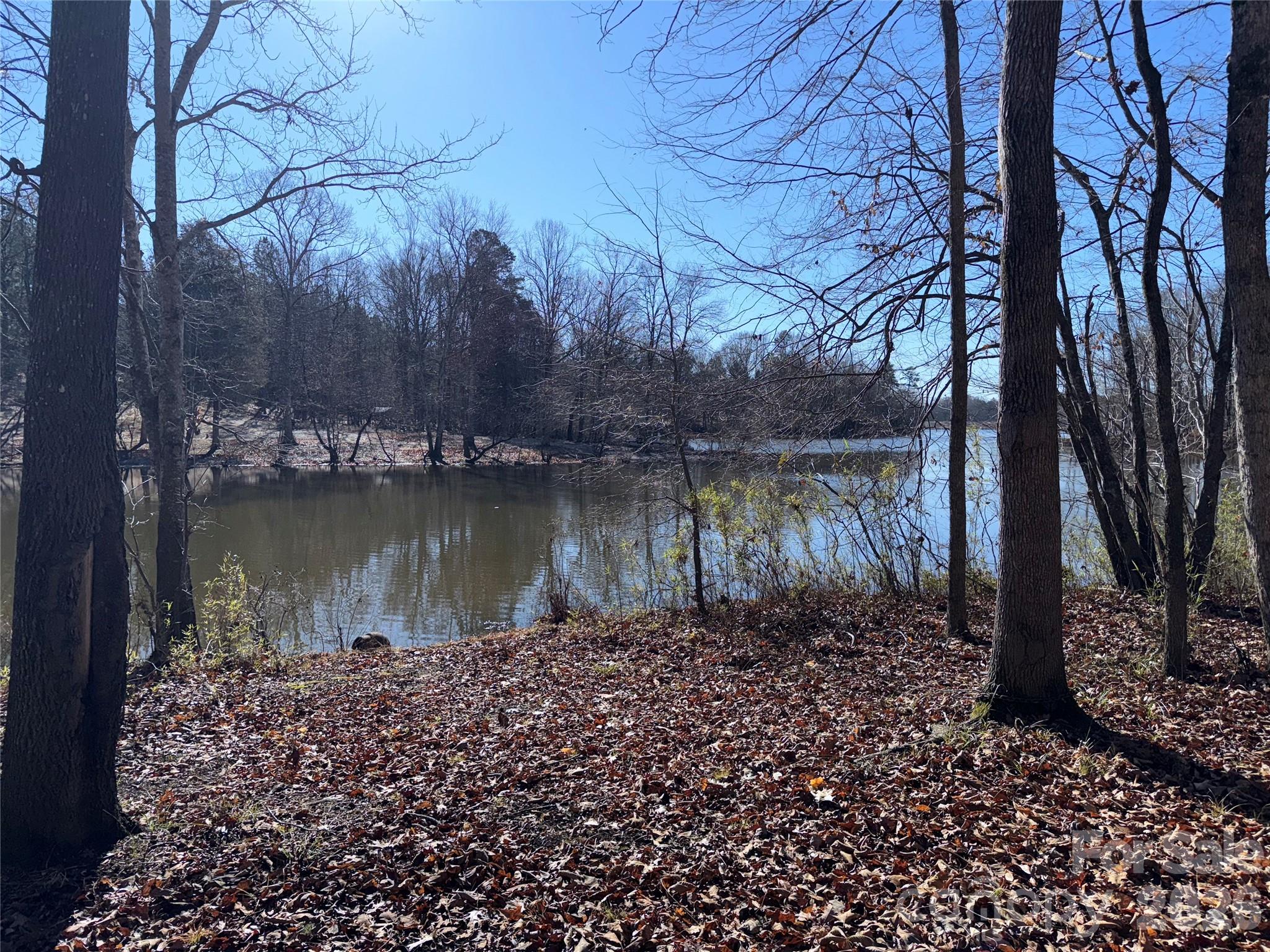 864 Butler Lake Road Chester, SC 29706 - Photo 17 of 23