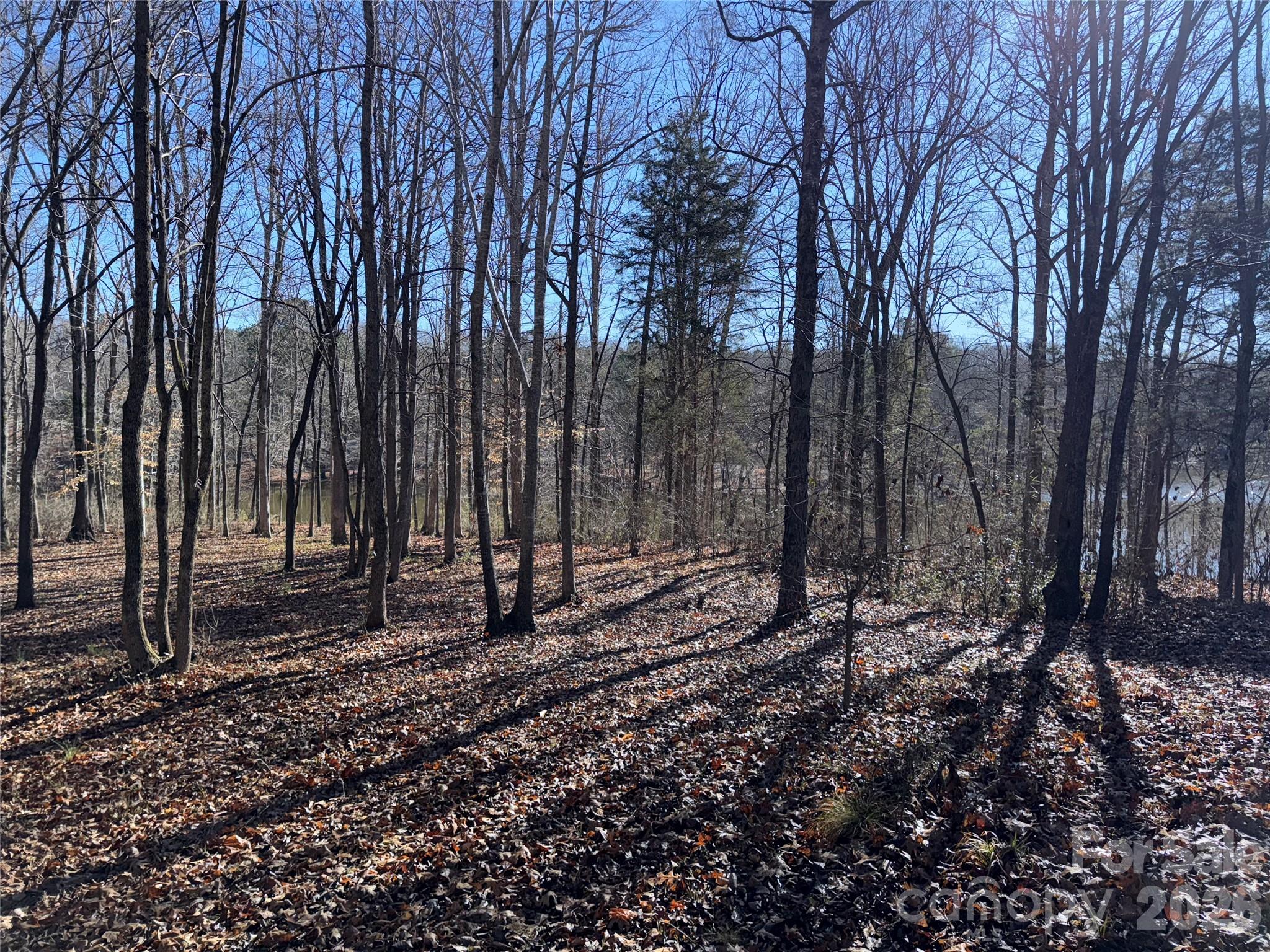 864 Butler Lake Road Chester, SC 29706 - Photo 18 of 23