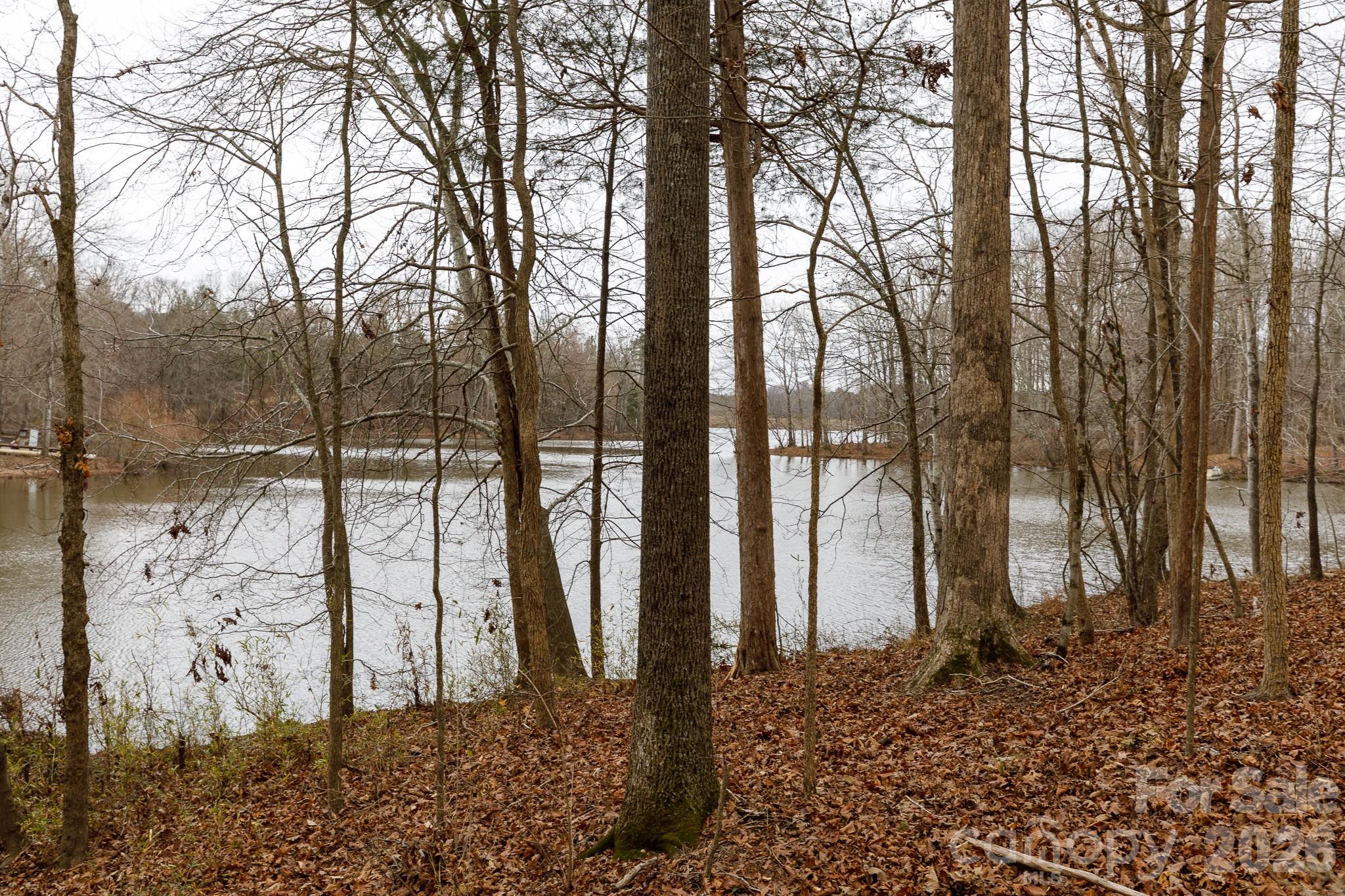 864 Butler Lake Road Chester, SC 29706 - Photo 23 of 33