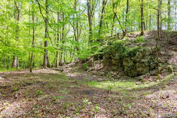 $125,000 | 8 Tollgate Road, Rockwood, TN 37854