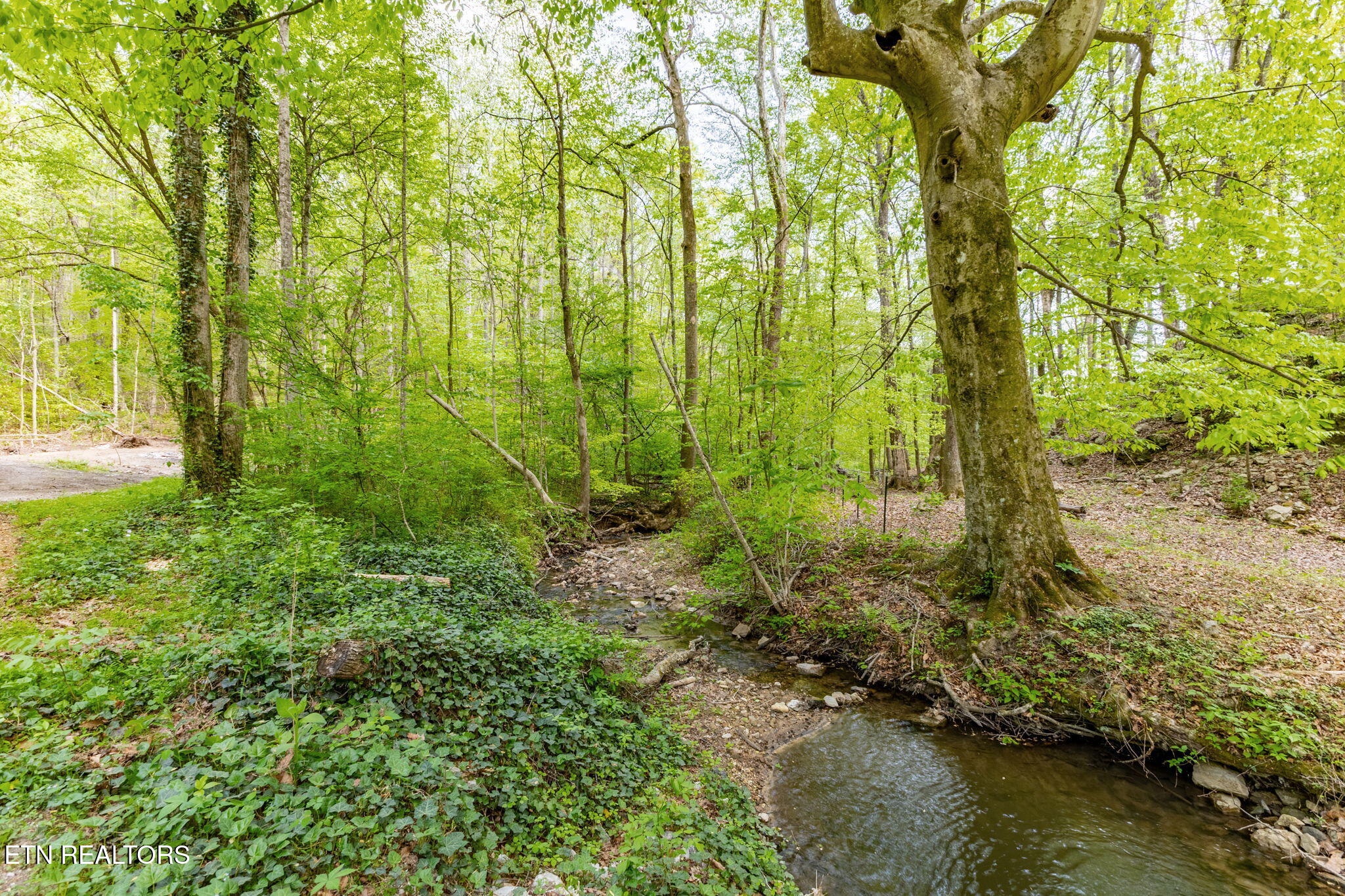 8 Tollgate Road Rockwood, TN 37854 - Photo 2 of 9 2-web-or-mls-3F1A4972-HDR