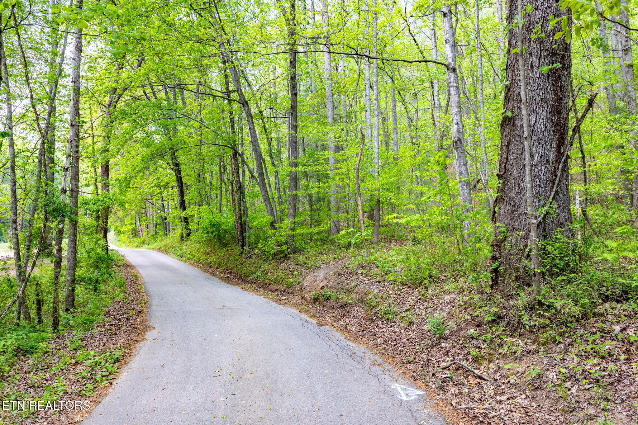 8 Tollgate Road Rockwood, TN 37854 - Photo 4 of 9 8-web-or-mls-3F1A4990-HDR