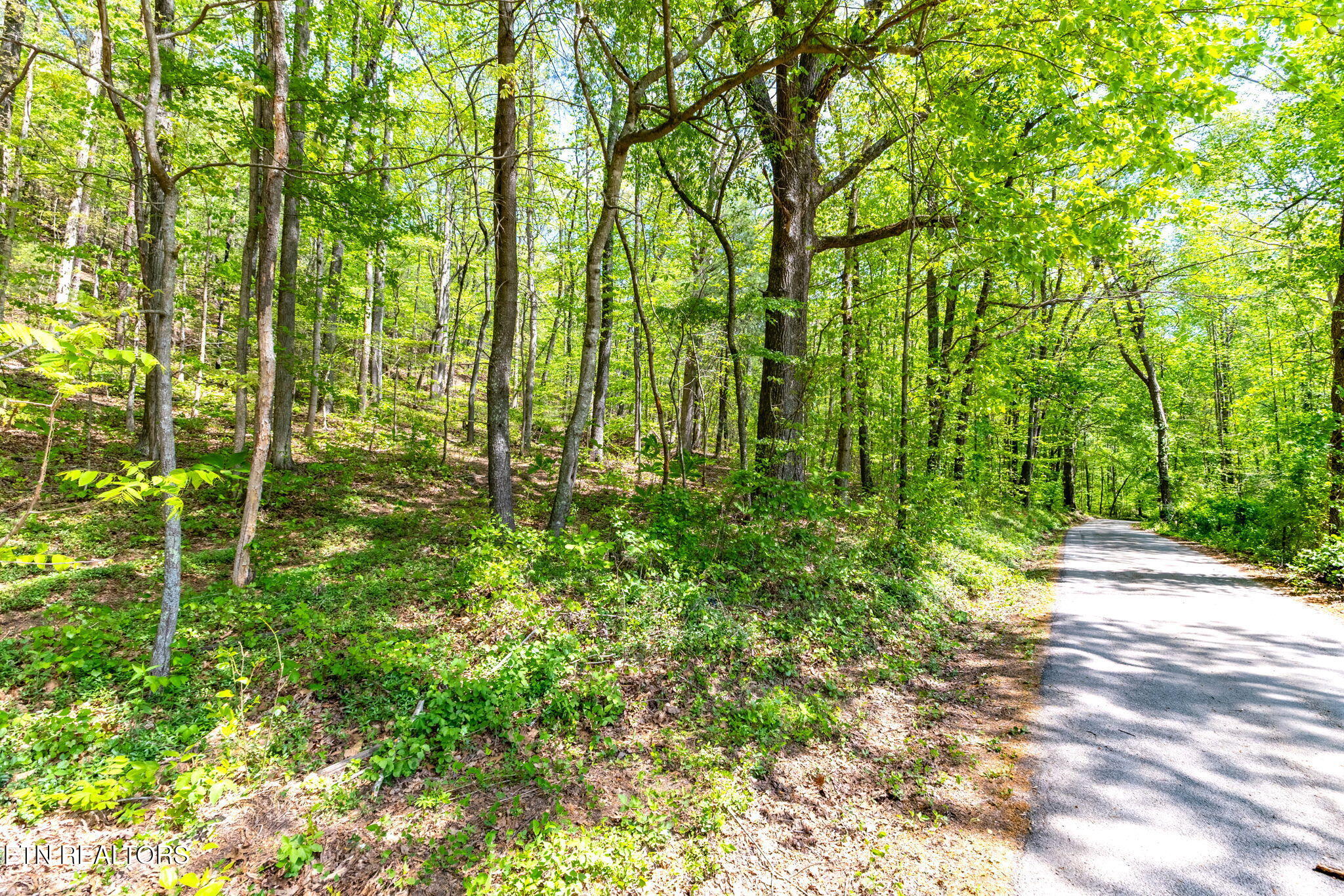 8 Tollgate Road Rockwood, TN 37854 - Photo 5 of 9 10-web-or-mls-3F1A4996-HDR