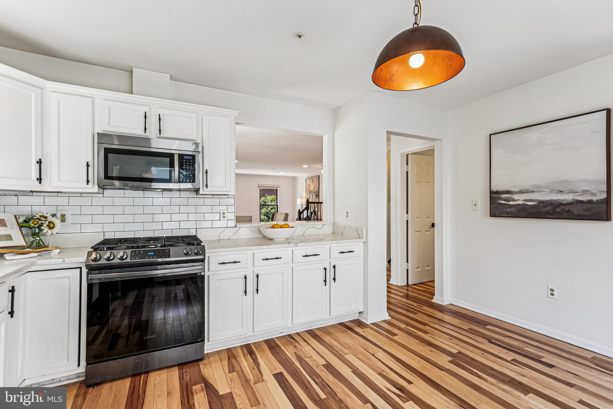 120 Ridgepoint Place Gaithersburg, MD 20878 - Photo 6 of 51 Kitchen with decorator cabinetry