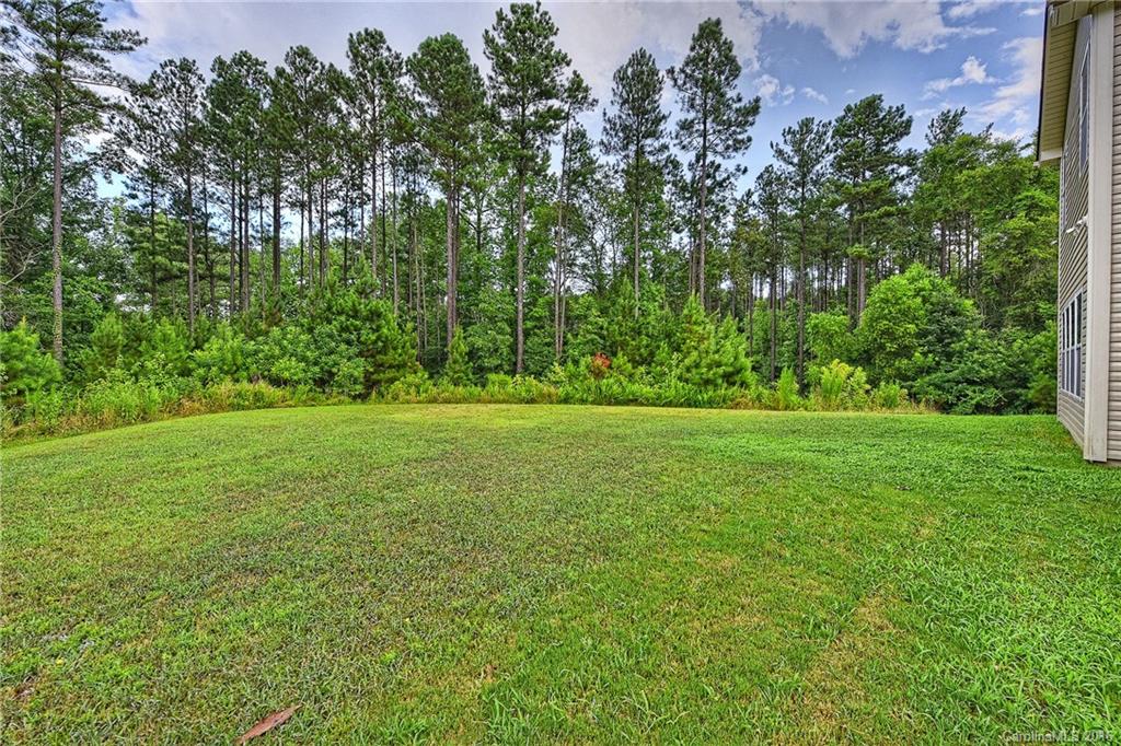 3141 Crosswind Drive Fort Mill, SC 29707 - Photo 23 of 24