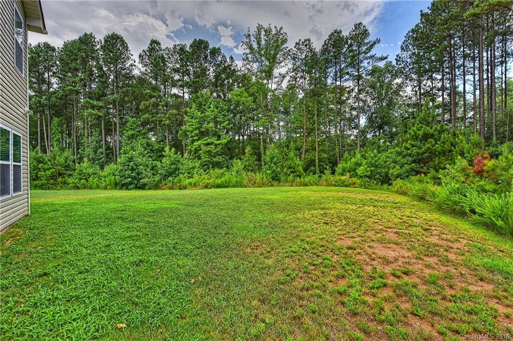 3141 Crosswind Drive Fort Mill, SC 29707 - Photo 24 of 24