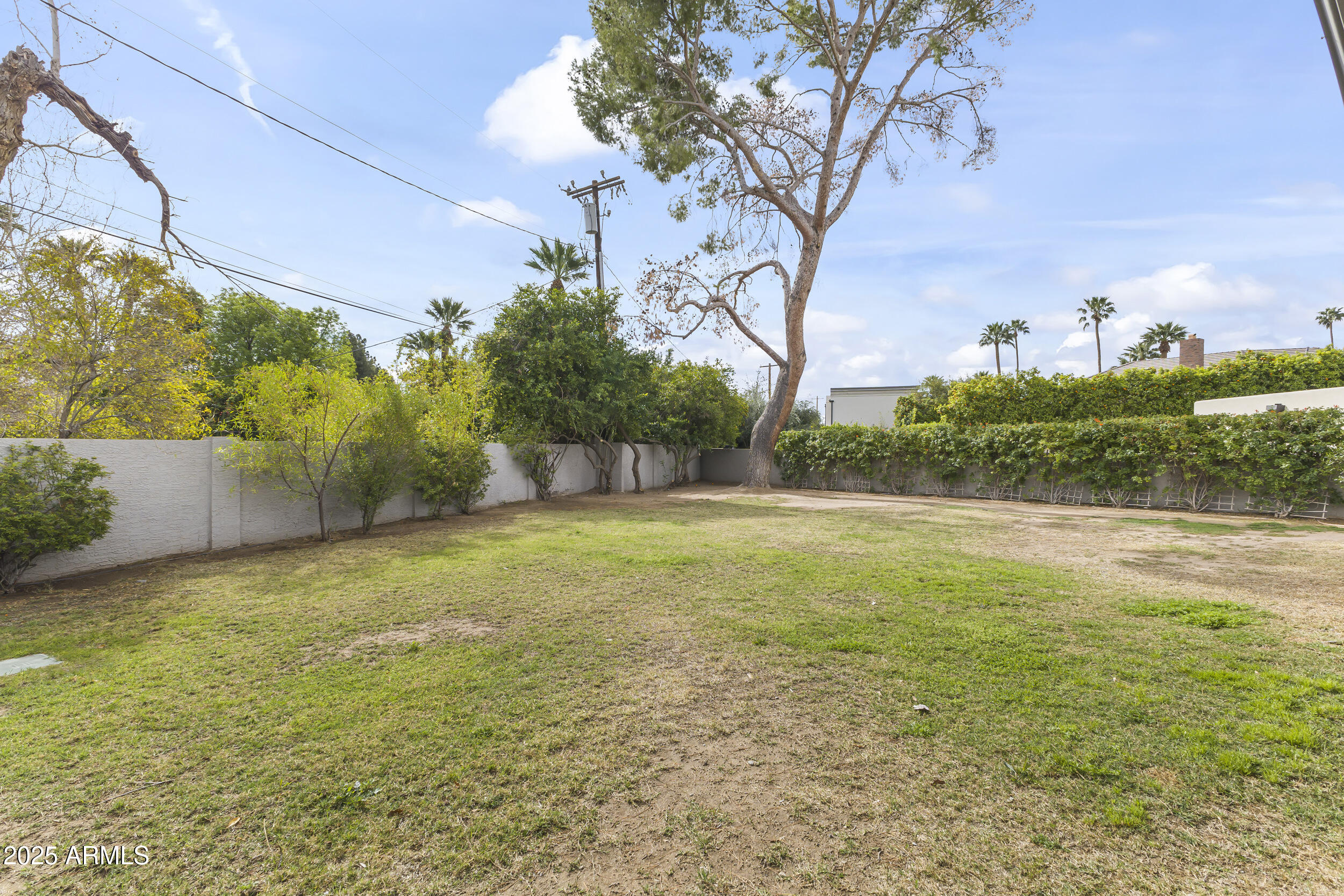 6835 North 1st Place Phoenix, AZ 85012 - Photo 37 of 42 a view of outdoor space and yard