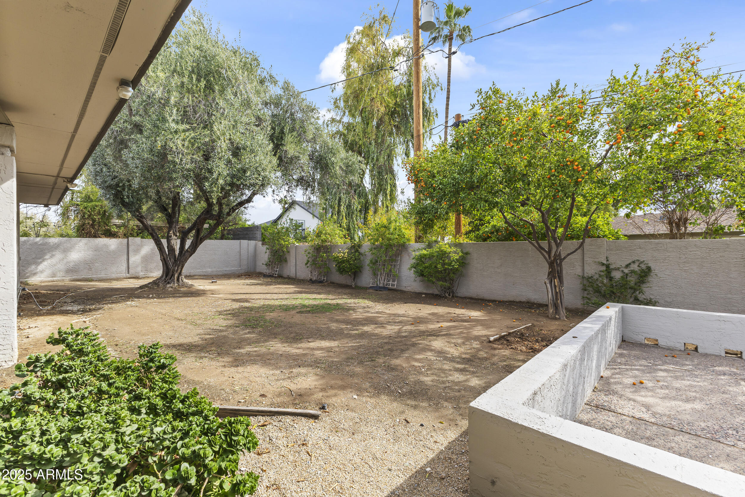 6835 North 1st Place Phoenix, AZ 85012 - Photo 38 of 42 a view of a backyard with large trees
