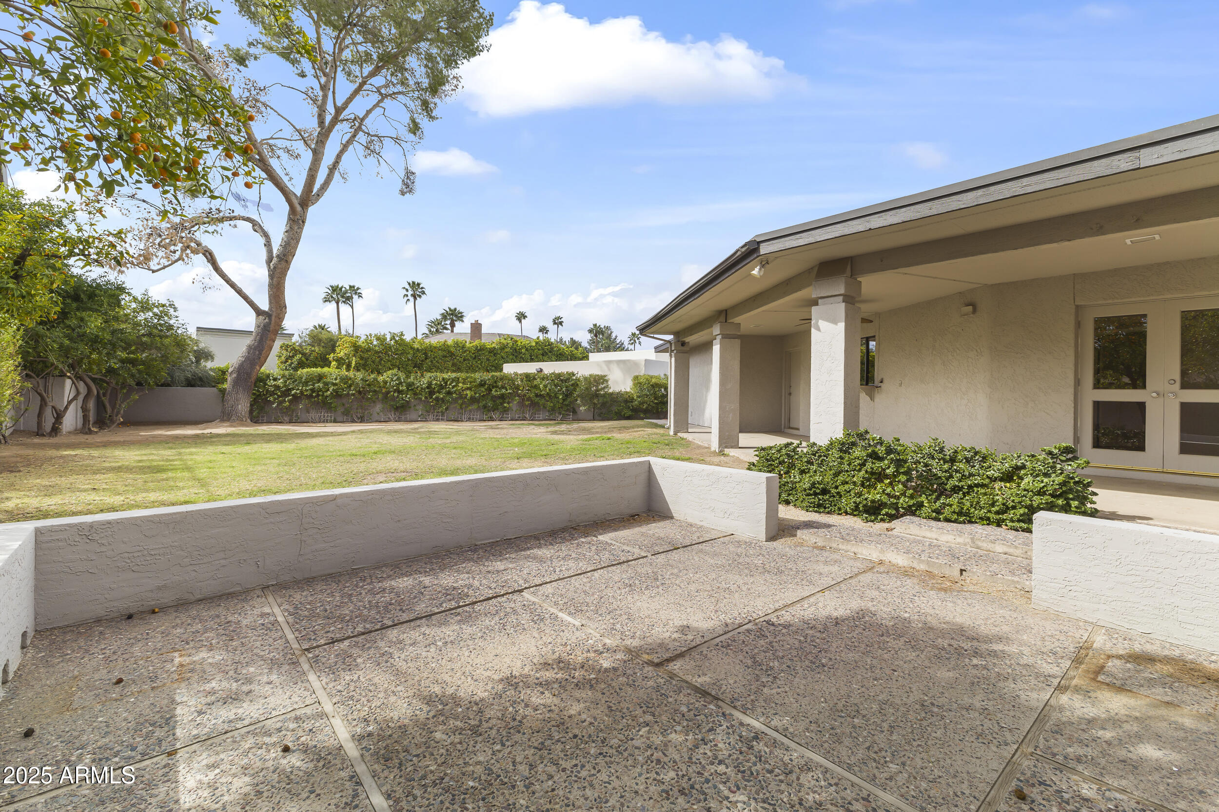 6835 North 1st Place Phoenix, AZ 85012 - Photo 5 of 42 a view of a house with a yard and potted plants