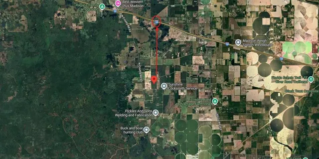 a view of a lush green forest