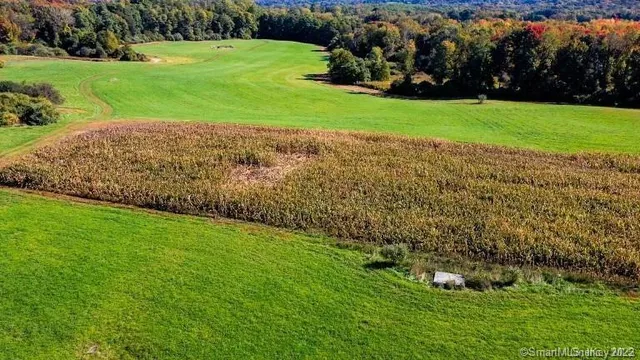 a view of a golf course