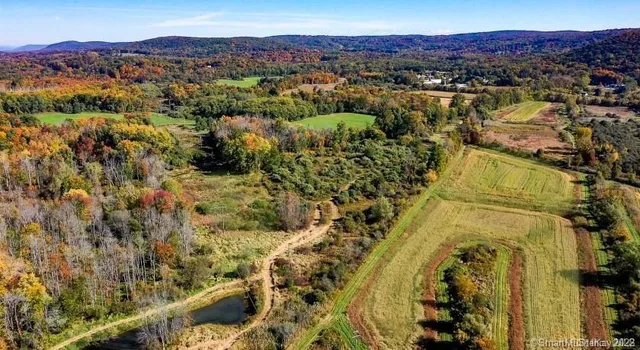 a view of a city with a lake