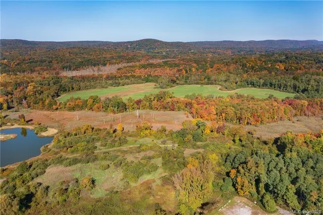 a view of a city with mountains in the background