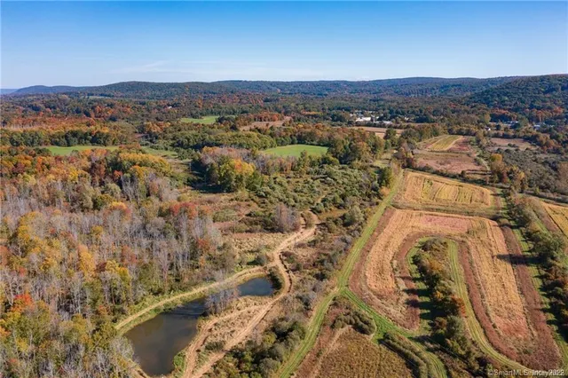 a view of a lush green hillside and houses