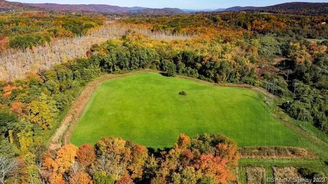 a view of a lush green hillside and houses