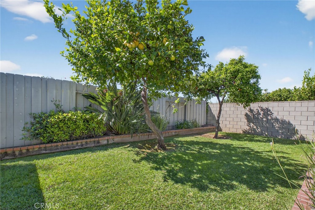 2418 Rainbow Lane Brea, CA 92821 - Photo 31 of 33 Backyard