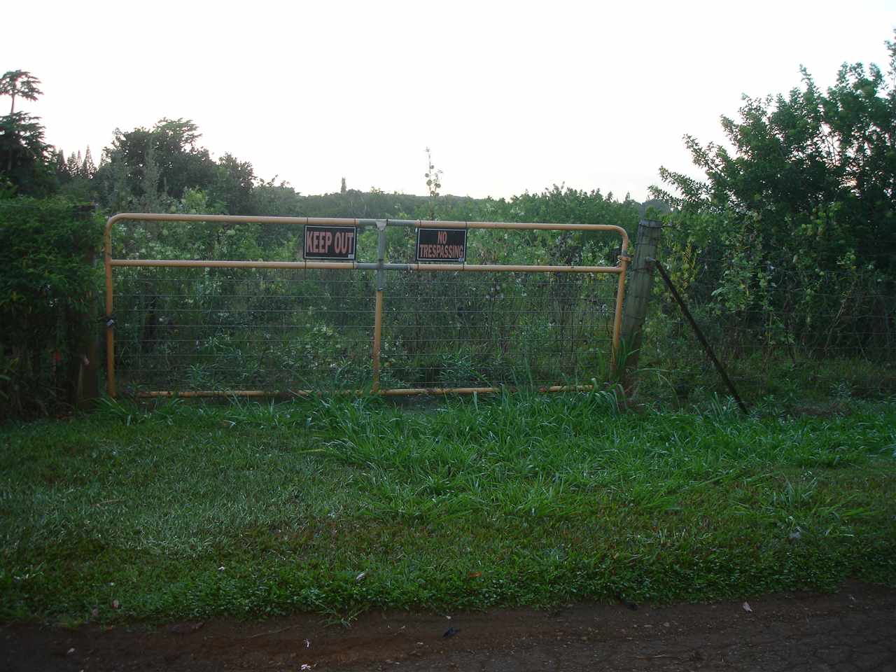 0 Lilikoi Road Haiku, HI 96708 - Photo 1 of 1 a view of a field