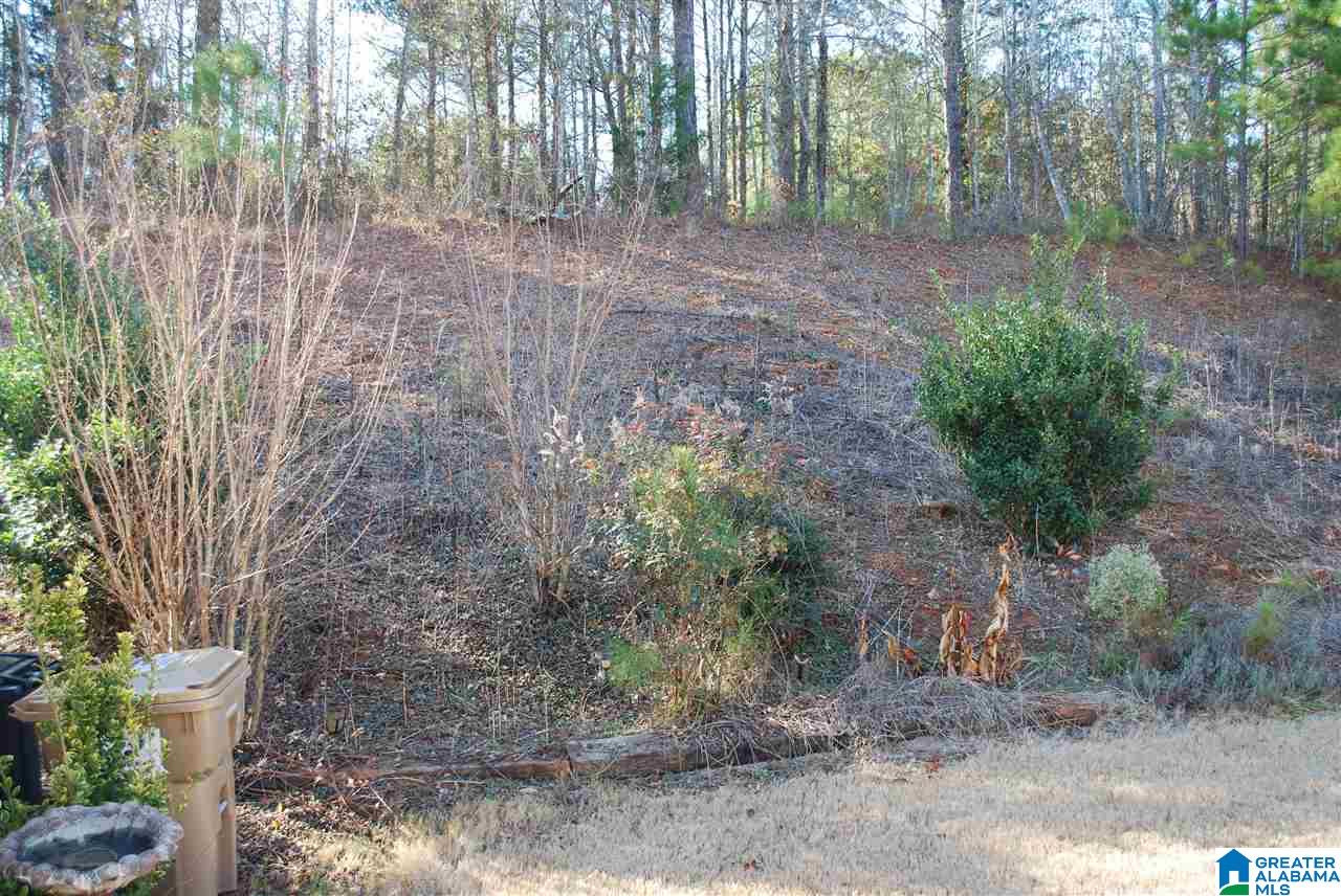 7959 Everetts Loop McCalla, AL 35111 - Photo 35 of 46
