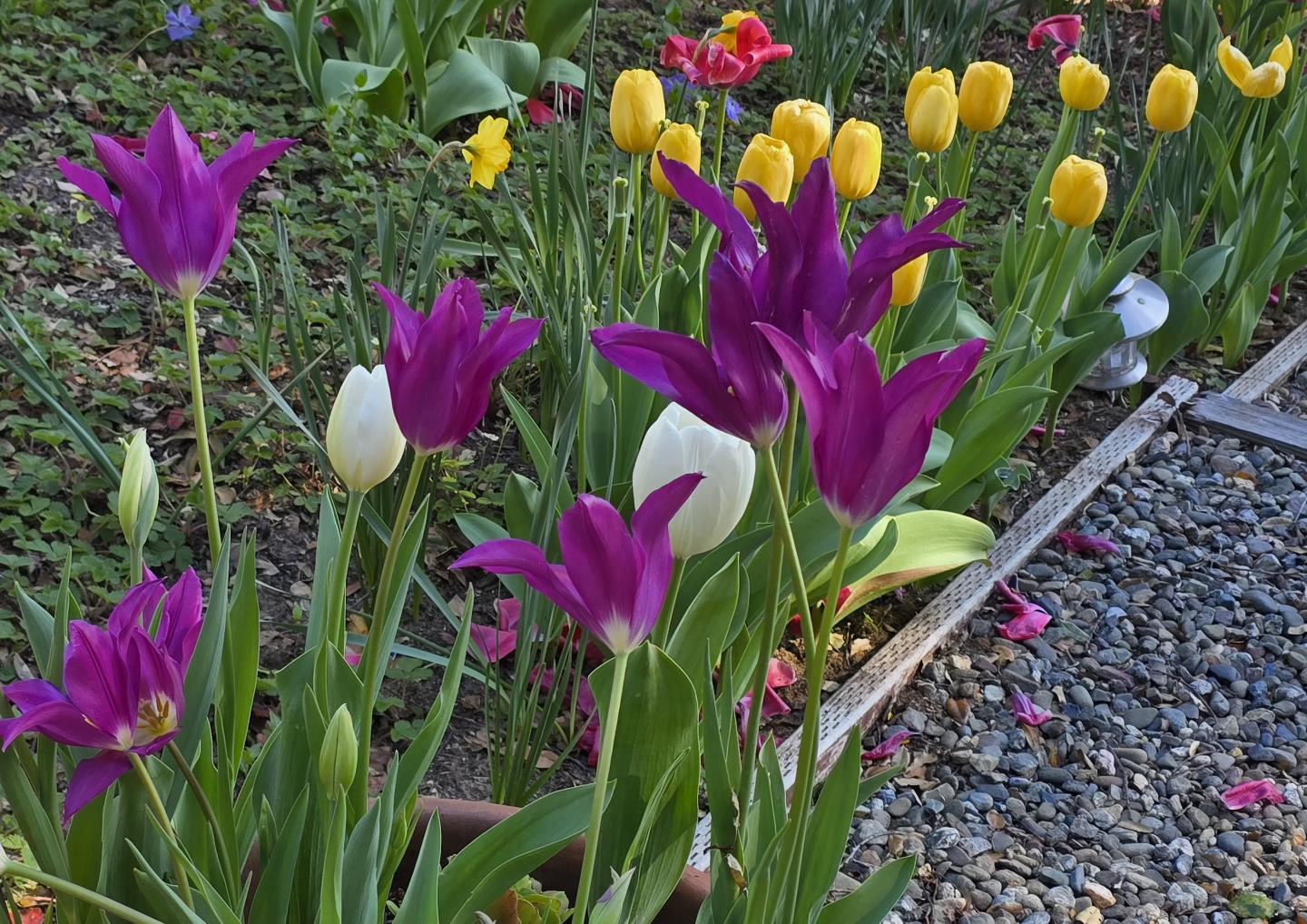 925 Skyward Drive Aptos, CA 95003 - Photo 81 of 95