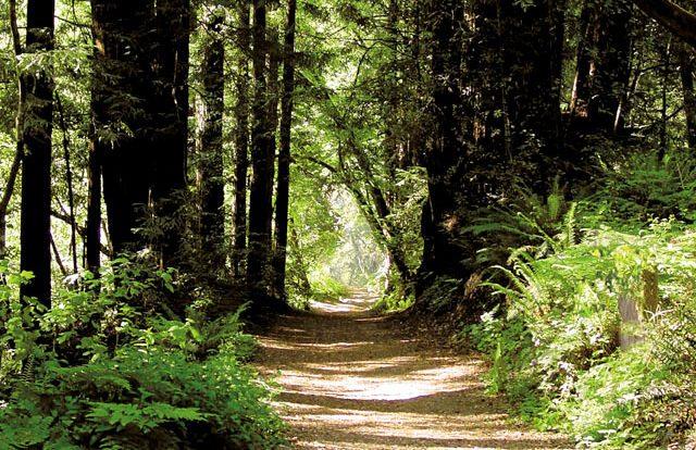 925 Skyward Drive Aptos, CA 95003 - Photo 88 of 95