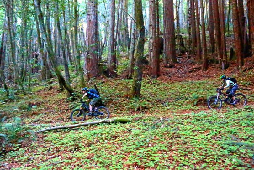 925 Skyward Drive Aptos, CA 95003 - Photo 89 of 95 a view of outdoor space with garden