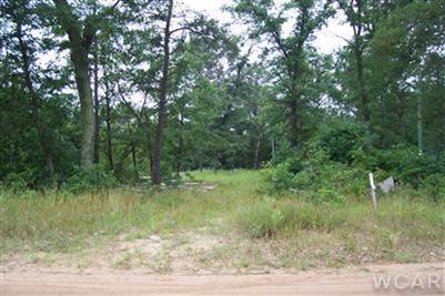 3587 South James Road Baldwin, MI 49304 - Photo 1 of 2 Primary Photo