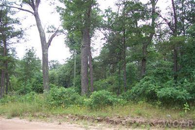 3587 South James Road Baldwin, MI 49304 - Photo 2 of 2 Additional Photo
