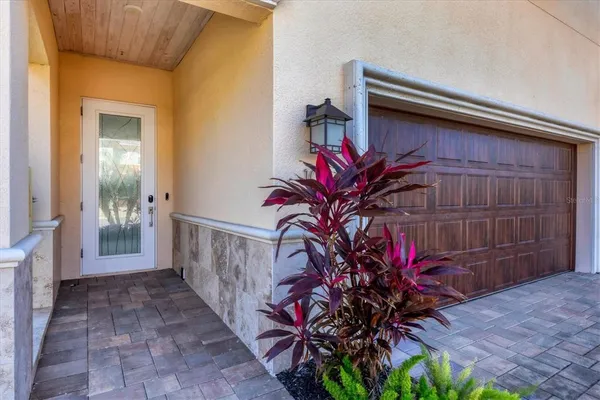 a potted plant sitting in front of a door