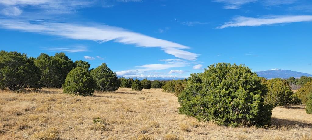 Lot 34 Silver Spur Road Walsenburg, CO 81089 - Photo 20 of 43