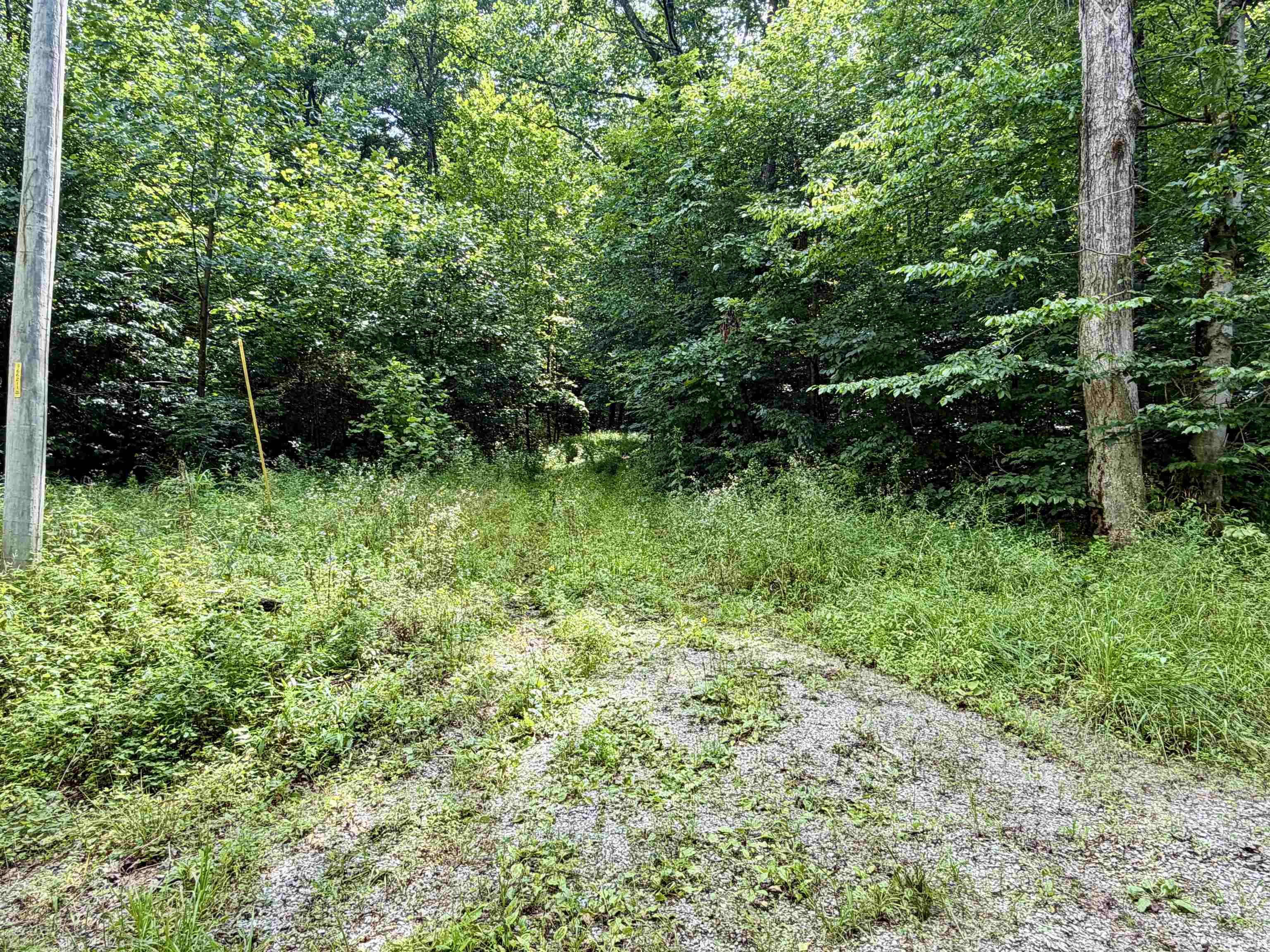 Off Candlestick Road Bristow, IN 47515 - Photo 2 of 30
