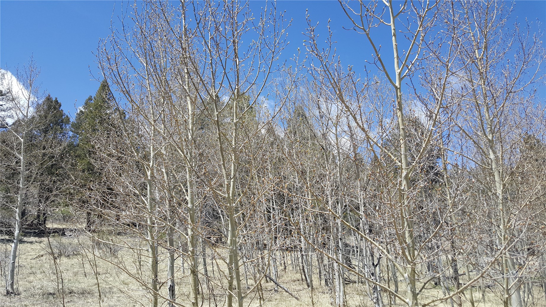 Lot 131 Redhill Road Fairplay, CO 80440 - Photo 18 of 34 Gallery Image 18