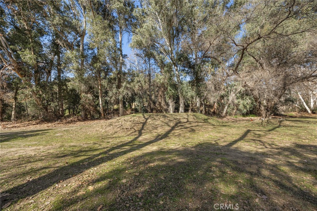 48980 De Luz Road Temecula, CA 92590 - Photo 18 of 50 a view of yard and covered with trees