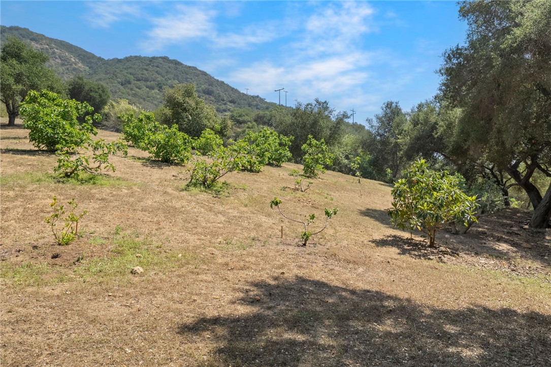48980 De Luz Road Temecula, CA 92590 - Photo 36 of 50 Rolling Hills