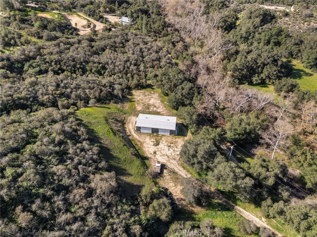 48980 De Luz Road Temecula, CA 92590 - Photo 40 of 50 a view of a yard with a tree