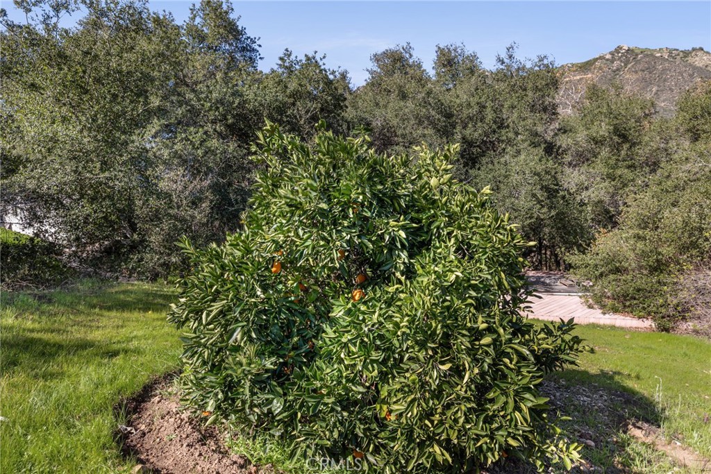 48980 De Luz Road Temecula, CA 92590 - Photo 50 of 53